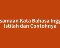 Persamaan Kata Bahasa Inggris: Istilah dan Contohnya