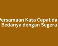 Persamaan Kata Cepat dan Bedanya dengan Segera