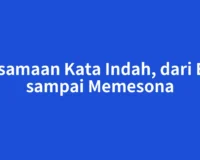 Persamaan Kata Indah, dari Elok sampai Memesona