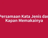 Persamaan Kata Jenis dan Kapan Memakainya