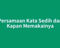 Persamaan Kata Sedih dan Kapan Memakainya