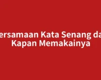 Persamaan Kata Senang dan Kapan Memakainya