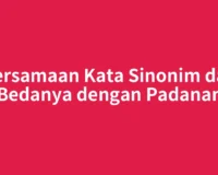 Persamaan Kata Sinonim dan Bedanya dengan Padanan