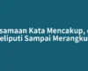 Persamaan Kata Mencakup, dari Meliputi Sampai Merangkum
