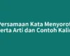 Persamaan Kata Menyoroti Beserta Arti dan Contoh Kalimat
