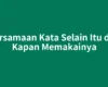 Persamaan Kata Selain Itu dan Kapan Memakainya